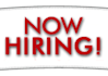 be your PROFESSIONAL job reference