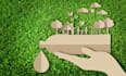 write on renewable energy and sustainability