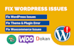 fix wordpress error, bug or issues in 2h