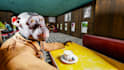 create abstract 3d illustrations and renders