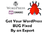 fix wordpress bugs, issues, errors or site down