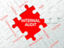 do internal and external auditing, compliance, and risk management