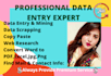 do perfect data entry web research and file conversion