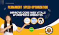fix  core web vitals  issues optimization wordpress page speed