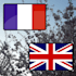 translate english to french