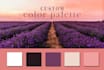 create a custom color palette for your brand