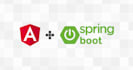 develop web application in java, spring boot, and angular
