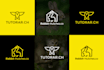 create a professional business logo design