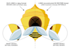 transform your logo into a vector format