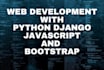 develop a professional python django websites remove bugs