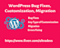 provide wordpress error fixing, customization, and update service