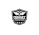 design primary concealment logo in  1 day