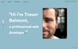 code professional HTML CSS and javascript websites