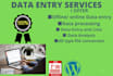 do offline and online data entry job