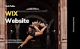 do stunning wix ecommerce website and wix business  website