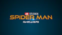 make you stunning intro like spiderman homecoming