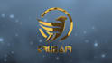 creat perfect 2d 3d animated custom logo intro videos