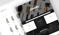 design and develop a professional website