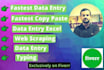 do fastest data,excel entry and web scraping
