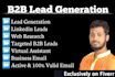 do your virtual assistant to lead generation, email list building and data entry