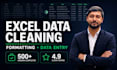 do excel data cleaning and formatting, excel data entry