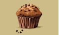 draw food and drink illustration