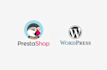 professional wordpress developer for custom websites