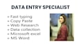 virtual assistant for professional data entry and data cleaning
