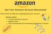 do amazon account reinstatement, appeal letter, poa