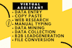 do data entry file conversion, web research, and data mining