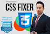 fix wordpress CSS quick