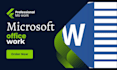 provide microsoft office work