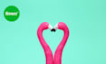 provide personal counseling and relationship advice