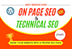 do onpage and technical SEO in wordpress, wix, shopify website