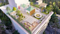 design landscape, front and back yard, rooftop, garden patio