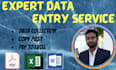 do data entry, web research and copy past