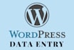 do wordpress data entry for 3 hours
