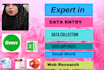 do data entry,  excel work, web research, digital marketing