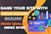 provide monthly SEO backlinks package da 50 link building