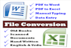 file conversion, PDF to word, PDF to excel, manual typing