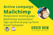 mailchimp campaign mailchimp automation email template