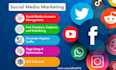 be your social media manager and virtual assistant