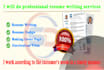 do professional resume writing services