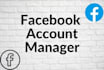 be a personal facebook account manager