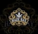 design haze bay packaging logo in 3 day