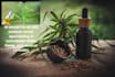 be your cbd and cannabis content writer