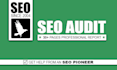 do a professional SEO audit for your website