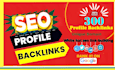 do off page SEO with high quality profile backlinks