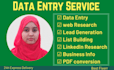 do fast data entry , web research , excel and google sheet