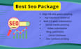 provide best seo package offsite link building